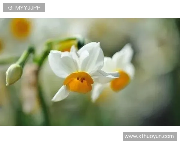 罗凯文的成长之路：从平凡少年到卓越领袖的奋斗历程与心路历程